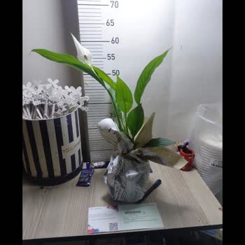 Onaylanan Ürün Yerine Yanlış Ürün Gönderilmesi