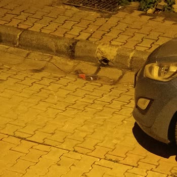 Kablolar Kopmuş, İnternet Kesintisi Ve Cevapsız Müşteri Hizmetleri