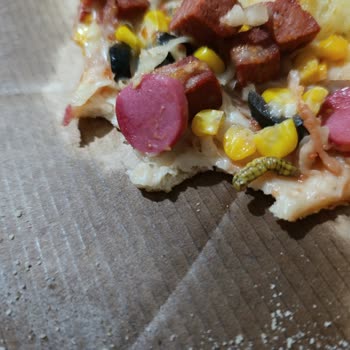 Little Caesars Şubesinde Pizza Üzerinde Böcek Bulunması Hijyen İhlali