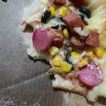 Little Caesars Şubesinde Pizza Üzerinde Böcek Bulunması Hijyen İhlali