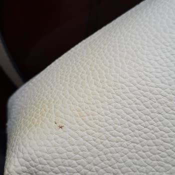 Lacoste Çantada Görülen Sararma ve Kalite Hayal Kırıklığı