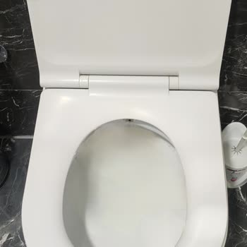 Turkuaz Seramik Bella Klozet Kapağının Üst Kısmındaki Hızlı Kırılma Ve Dayanıklılık Sorunu