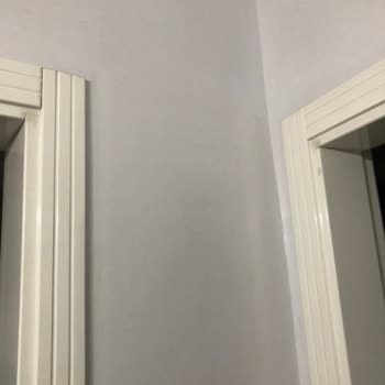 Marshall Boya Sabun Köpüğü Rengi Boyada Mor Lila Tonuna Dönüştü: Doğru Renk Ve İşçilik Bedeli Talebi