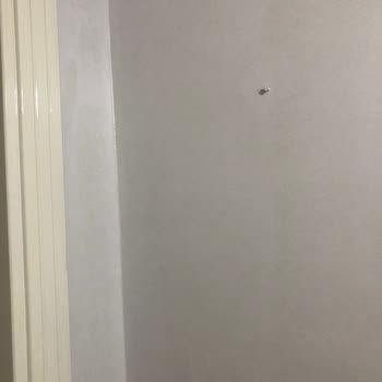 Marshall Boya Sabun Köpüğü Rengi Boyada Mor Lila Tonuna Dönüştü: Doğru Renk Ve İşçilik Bedeli Talebi