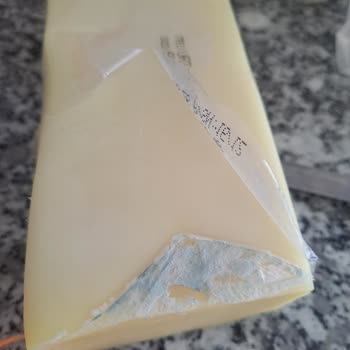 Bakkalbaşı Kaşar Peynirinde Hızlı Küflenme Ve Güven Sorunu