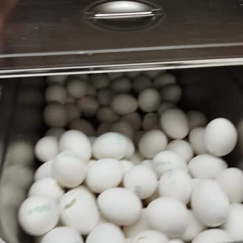 Fazilet Turizm’in Yanıltıcı Umre Programı: 4 Yıldız Vaadi, Kötü Otel Ve Yetersiz Yemek