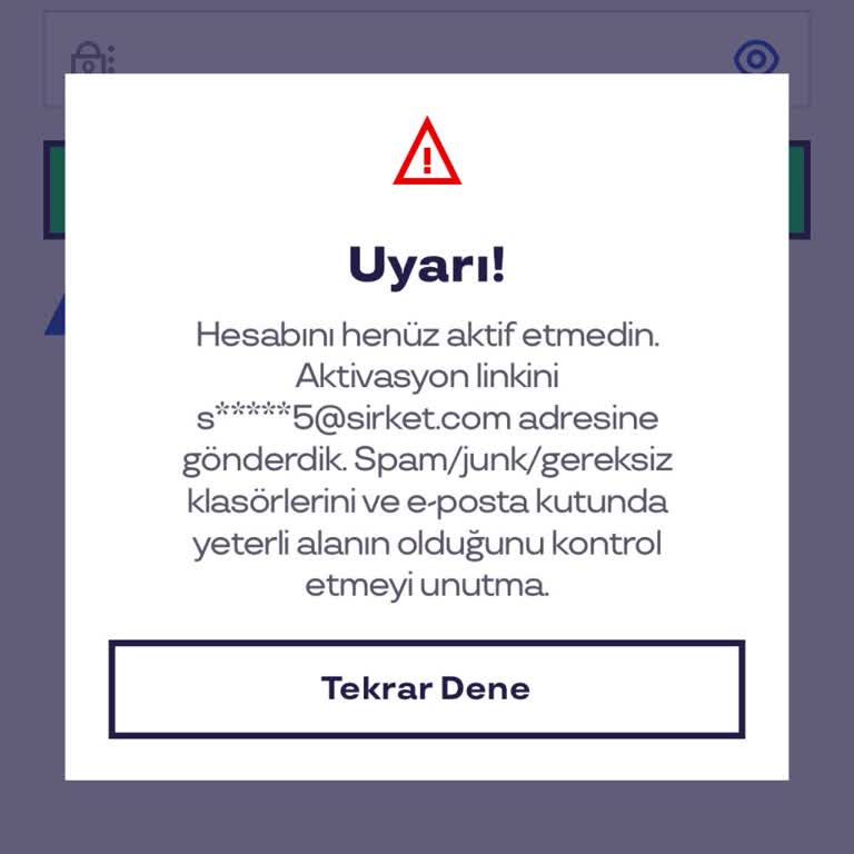 Pluxee Türkiye Yanlış E-posta Nedeniyle Hesap Aktifleştirilemedi