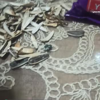 Şok Marketler Çekirdek Paketinde Kuş Pisliği Çıktı