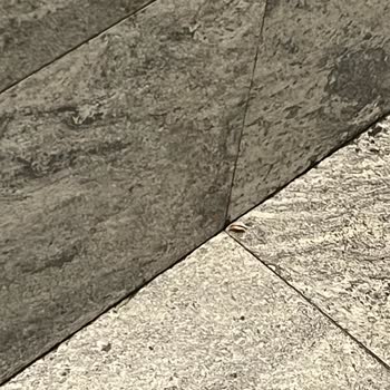 Neomarin AVM Sinema Erkek Tuvaletinde Böcek Ve İdrar Sorunu