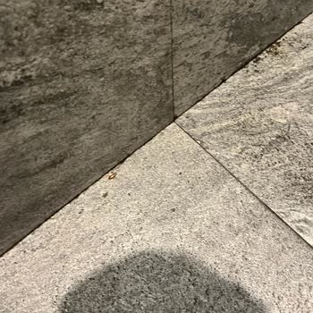 Neomarin AVM Sinema Erkek Tuvaletinde Böcek Ve İdrar Sorunu