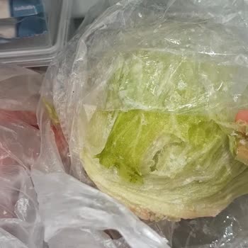 Ayıplı Profilo Buzdolabı Gıdalarım Donuyor, Servis Çözüm Sunmuyor