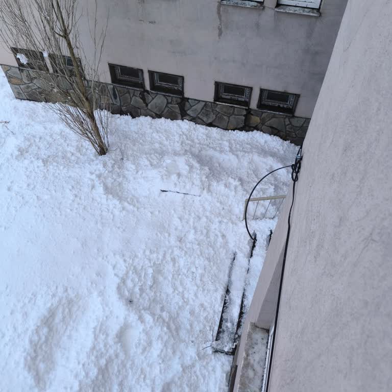 Ağrı Doğubayazıt Okulunda Kurumsal İnternet Kesintisi Ve Acil Kablo Değişimi Talebi