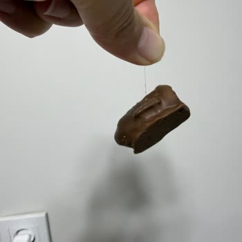 Hurmacı Müşfik Çikolatalı Hurmadan Kıl Çıktı