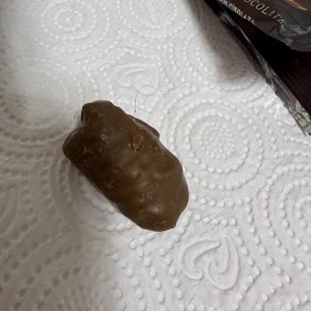 Hurmacı Müşfik Çikolatalı Hurmadan Kıl Çıktı