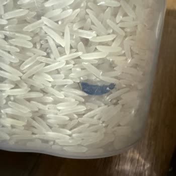 Yayla Basmati Pirincin İçinden Böcek Çıktı