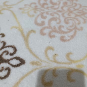 Işıl Halı Yıkama (Antalya) Hem Halılarımın Temizlenmemiş Olması Hem De Metrajdan Fazla Ücret Aldı