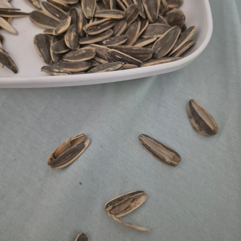 Tadım Çekirdek Sorunu