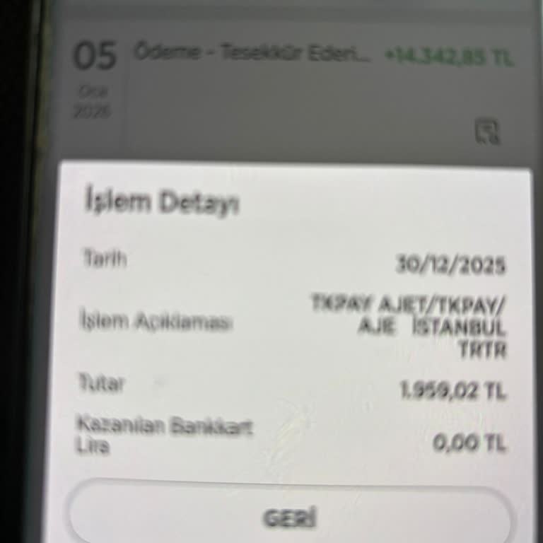 Ödeme Alındı, Bilet Bilgisi Ve PNR Gönderilmedi; Acil Yardım İstiyorum