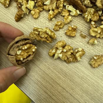 Migros Şubesinde Satılan Kabuklu Cevizde Böcek Ve Güve Kirliliği