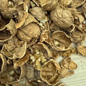 Migros Şubesinde Satılan Kabuklu Cevizde Böcek Ve Güve Kirliliği