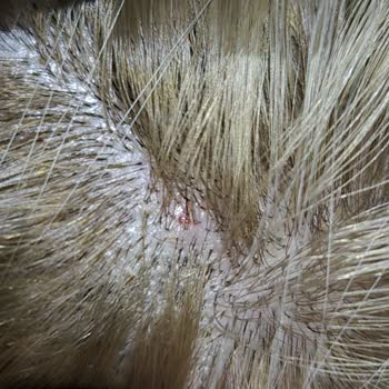 Yirmiyedi Ankara Kuaför Saçlarımda Ciddi Derecede Yıpranma, Esneme Ve Kopmalar Meydana Geldi