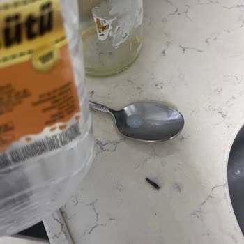 Peynirci Baba Şubesinde Süt İçinde Böcek Bulundu: Gıda Güvenliği İhlali