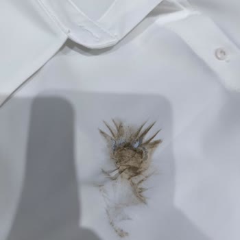 Trendyol Parfüm Kokulu Ve Ütü İzli Ürün Gönderildi!