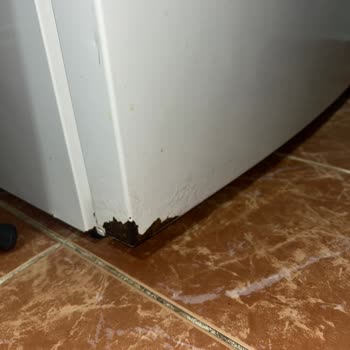 Bosch Çamaşır Makinesinde Yüksek Ses Ve Hızlı Paslanma Sorunu