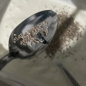 Yayla Chia Tohumunda Karasinek Bulunması