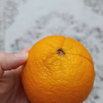 Şok Marketler Sipariş Ettiğim Ürünler Bozuk Ve Çürük Gönderildi!