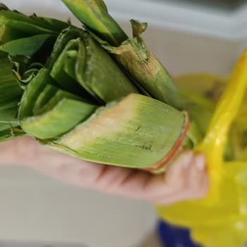 Şok Marketler Sipariş Ettiğim Ürünler Bozuk Ve Çürük Gönderildi!