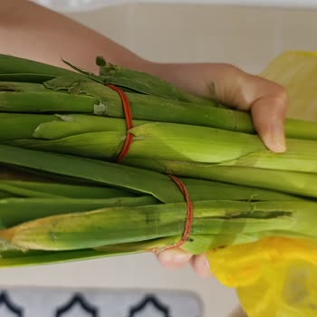 Şok Marketler Sipariş Ettiğim Ürünler Bozuk Ve Çürük Gönderildi!