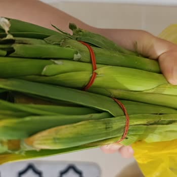 Şok Marketler Sipariş Ettiğim Ürünler Bozuk Ve Çürük Gönderildi!