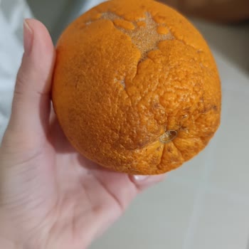 Şok Marketler Sipariş Ettiğim Ürünler Bozuk Ve Çürük Gönderildi!