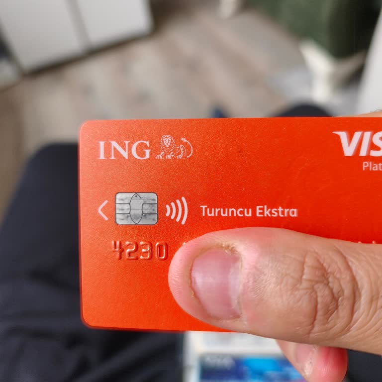 ING Bank Şubesinin Kapanması Engelli Emekli Müşterinin Vasilik İşlemini 310 Km Uzakta Zorladı