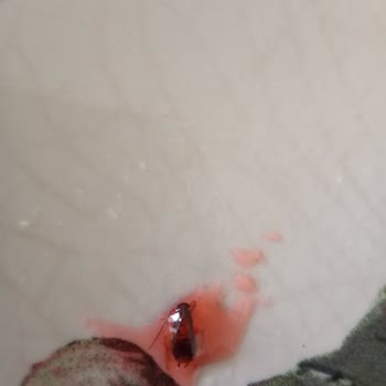 Makbul Çiçek Reçelinde Böcek Tespiti Tüketici Sağlığını Tehdit Ediyor