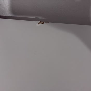 Teslimat Gecikmesi Ve Hasarlı Gardırop İçin Tam İade Talebi