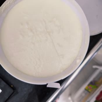 Torku Yoğurdunda Kıl Görülmesi Ve Geri Ödeme Talebi