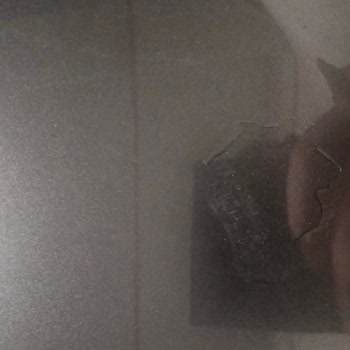 Renault Austral Boya Kalkması Ve Garanti İşlemlerinde Uzun Bekleme