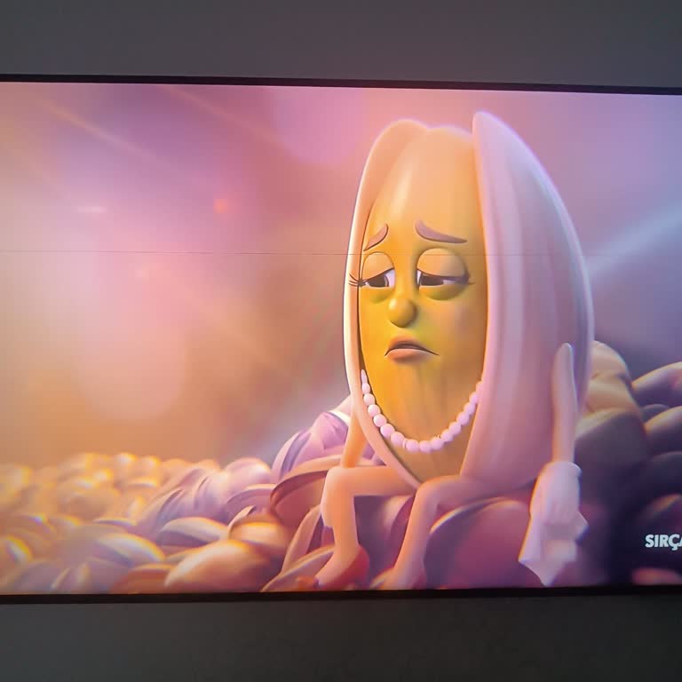 Ekranda Yatay Çizgi Ve Uzun Geri Dönüşsüzlük Nedeniyle Acil Ürün Değişimi Talebi