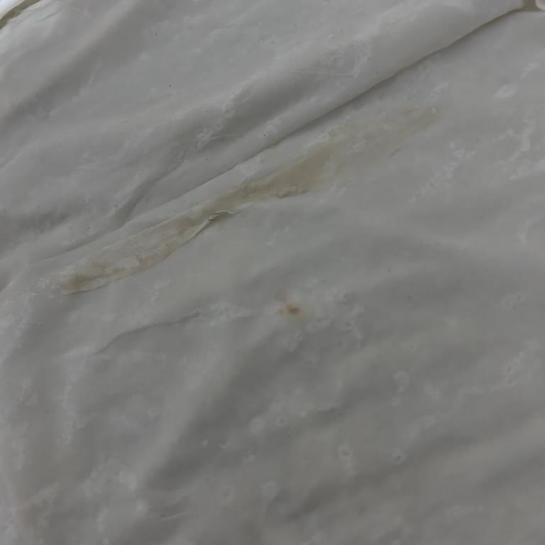 Yufka İçinde Zımba Teli Bulunması Sağlık Endişesi Ve Ürün Değişimi Talebi