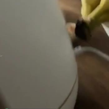 Kanz Hava Nemlendiricisi Yüksek Ses