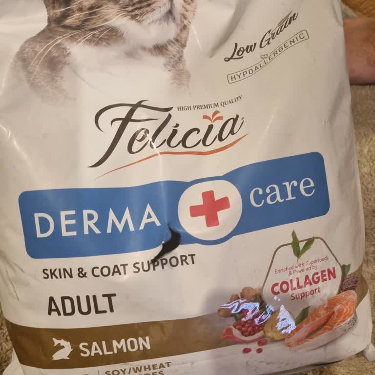 Kolay Mama'dan Yırtık Ve Bayat Kedi Maması, Cevapsız Kaldı