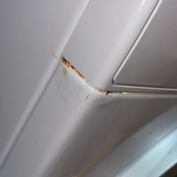 Profilo Çamaşır Makinesinde Sürekli Paslanma Ve Garanti İhlali