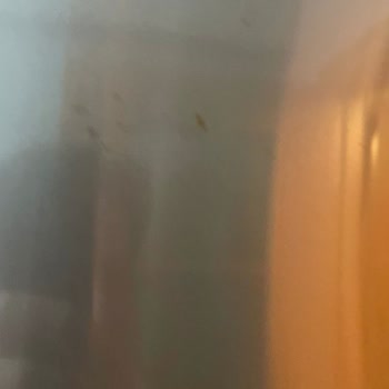 Profilo Inox Panelde Tekrar Paslanma ve Genel Merkez’in Kullanıcı Hatası İddiası