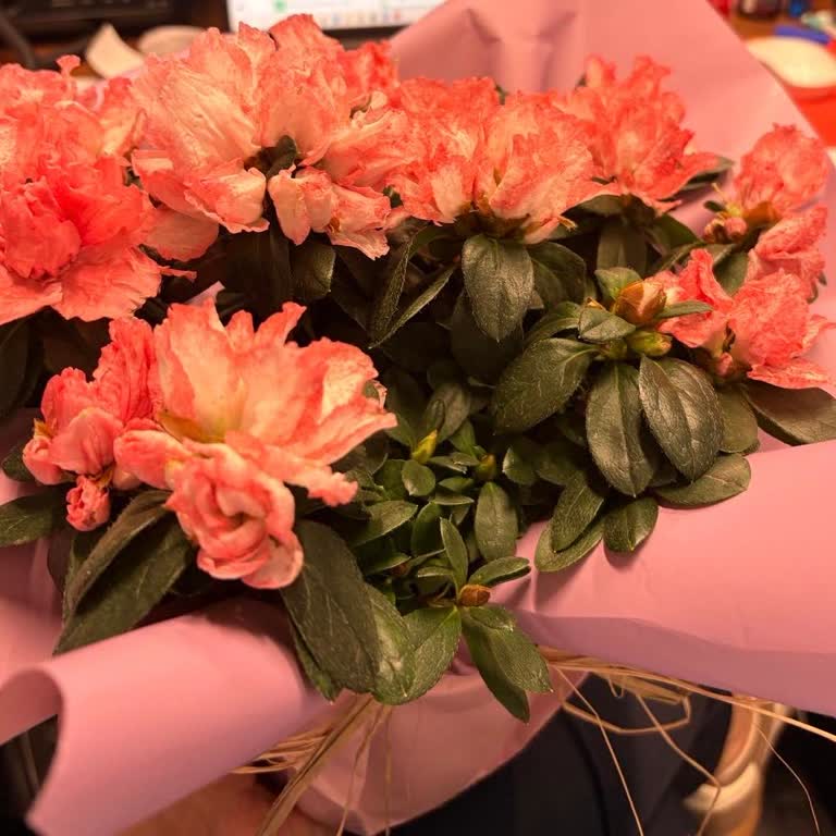 Heryerbitki SMS Onayı Gelmedi, Çiçek Kalitesi Düşük ve Balon Yok