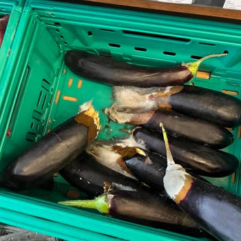Şok Market Konyaaltı Şubesinde Son Kullanma Tarihi Geçmiş Tavuk Ve Hijyen Sorunları