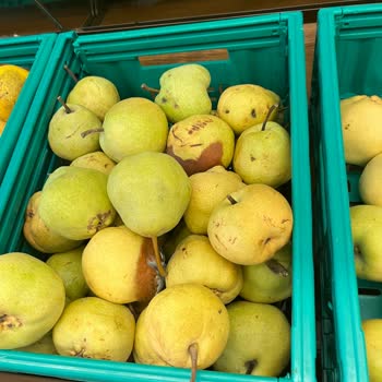 Şok Market Konyaaltı Şubesinde Son Kullanma Tarihi Geçmiş Tavuk Ve Hijyen Sorunları