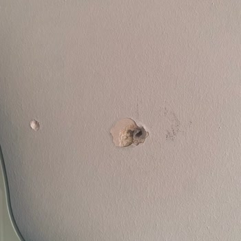 Divan Ev'den Yanlış Montaj, Kırık Yatak Odası Takımı Ve Duvardaki Hasar Şikayeti