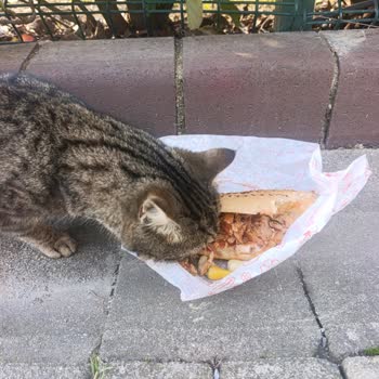 Kras Döner'den Çorba Ve Döner Kalitesiz, Müşteri Hizmetleri İlgisiz